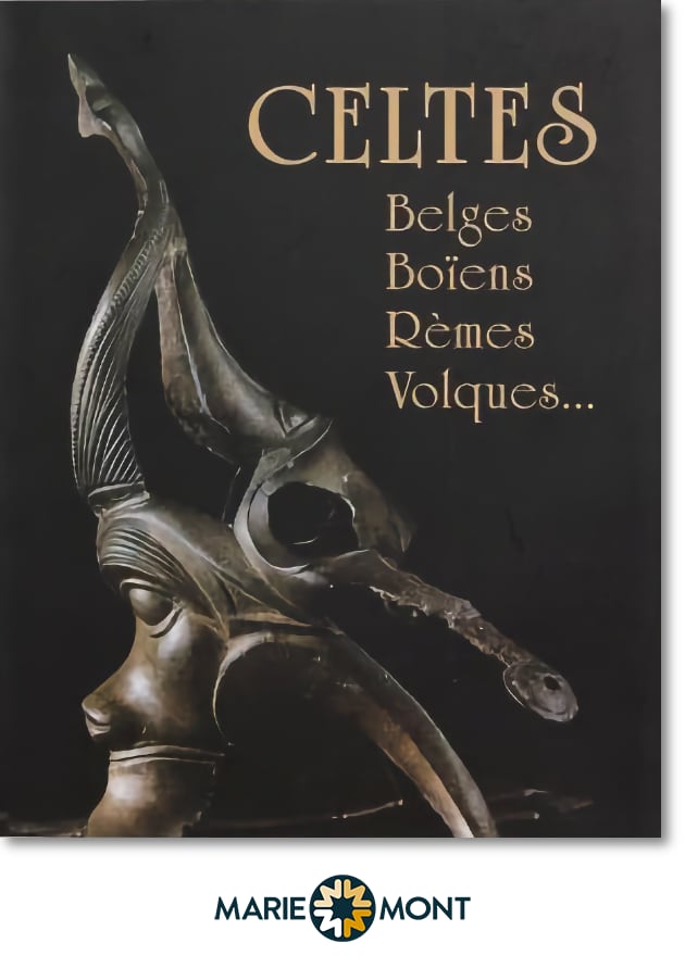 affiche van De Kelten